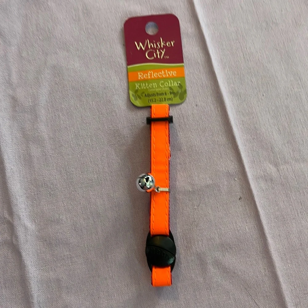 Orange kitten collar